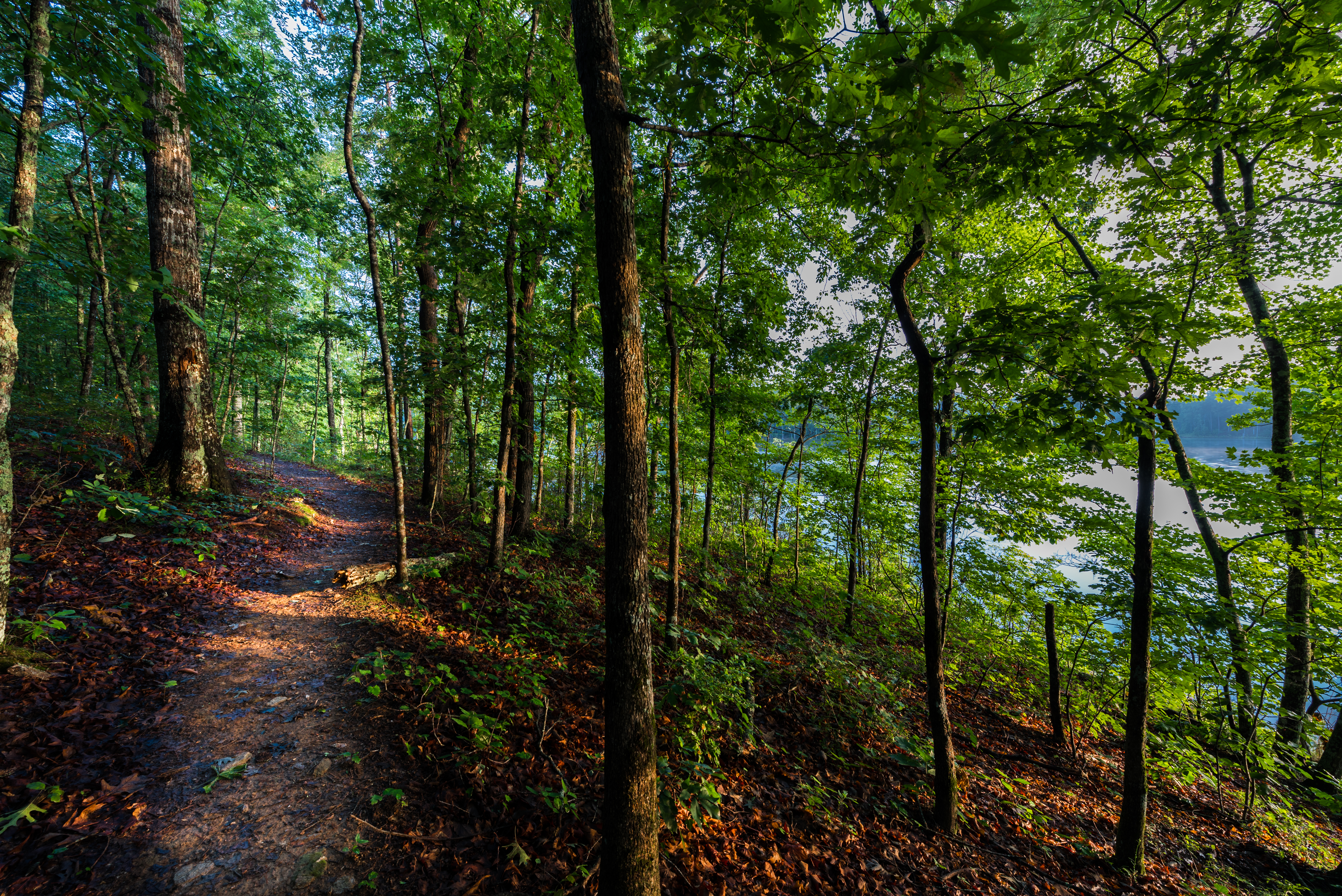 Cherokee County woods and water